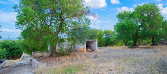 6 rooms House in Fasano, Italy No. 121069 10