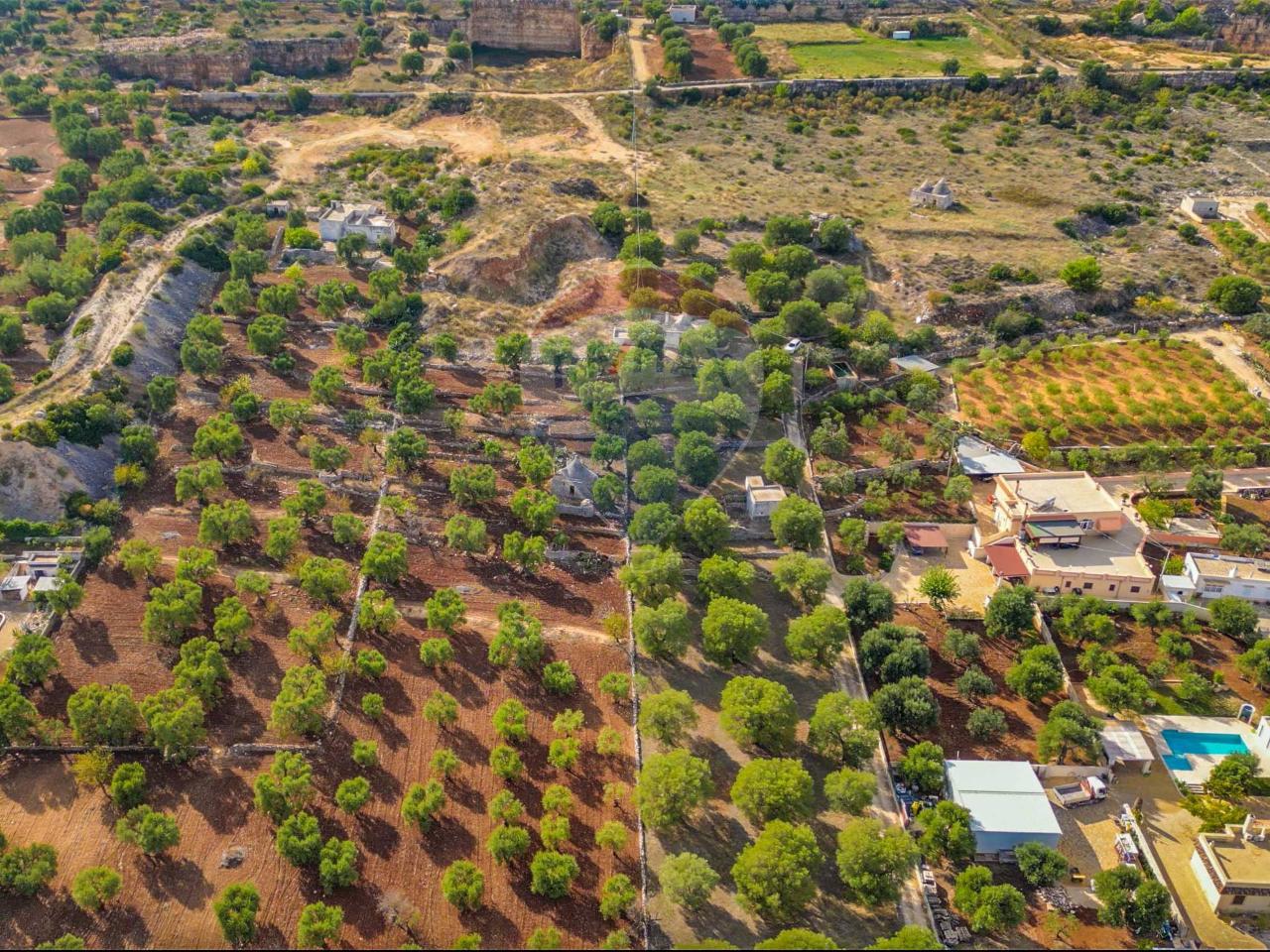 6 rooms House in Fasano, Italy No. 121069