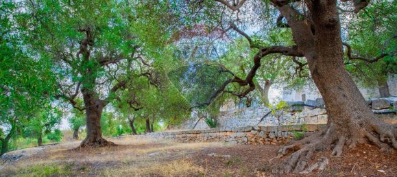 6 rooms House in Fasano, Italy No. 121069 9