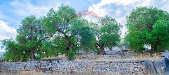 6 rooms House in Fasano, Italy No. 121069 11