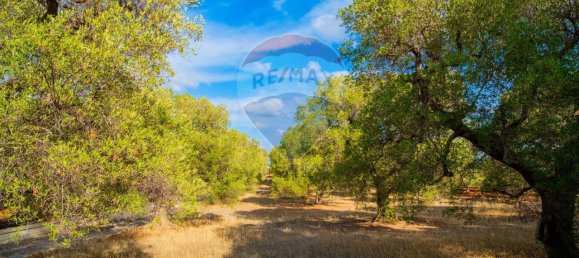 6 rooms House in Fasano, Italy No. 121069 6