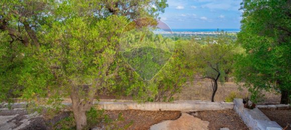 6 rooms House in Fasano, Italy No. 121069 17