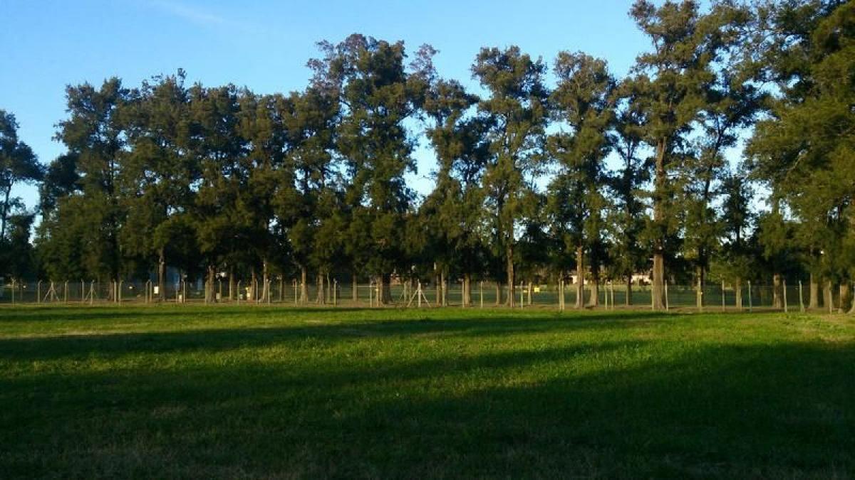  Land in Buenos Aires, Argentina No. 120039