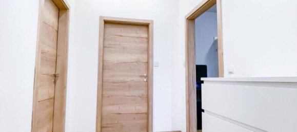 2 bedrooms Bungalow in Neufeld an der Leitha, Austria No. 105610 14