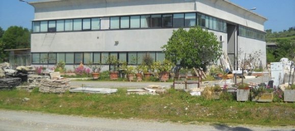 Lagerhaus in Casole d'Elsa, Italy 1066m², Nr. 70581 8