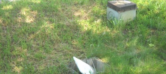 Lagerhaus in Casole d'Elsa, Italy 1066m², Nr. 70581 20