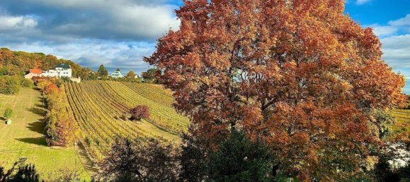 6-Zimmer Villa in Maria Enzersdorf, Austria, Nr. 137277 29