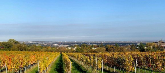 6-Zimmer Villa in Maria Enzersdorf, Austria, Nr. 137277 23