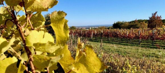 6-Zimmer Villa in Maria Enzersdorf, Austria, Nr. 137277 24