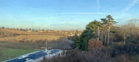 6-Zimmer Villa in Maria Enzersdorf, Austria, Nr. 137277 31