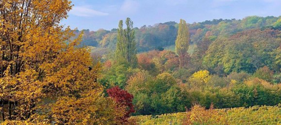 6-Zimmer Villa in Maria Enzersdorf, Austria, Nr. 137277 17