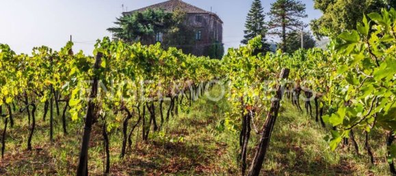 Вилла с 6 спальнями в Виагранде, Италия № 104715 13