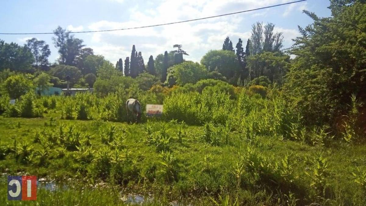 Terreno en General Rodríguez, Argentina No. 112797