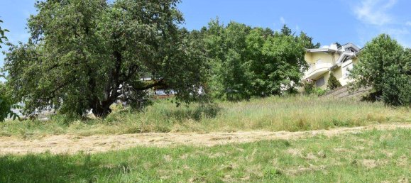  قطعة أرض في Millstatt am See, Austria رقم 255412 8