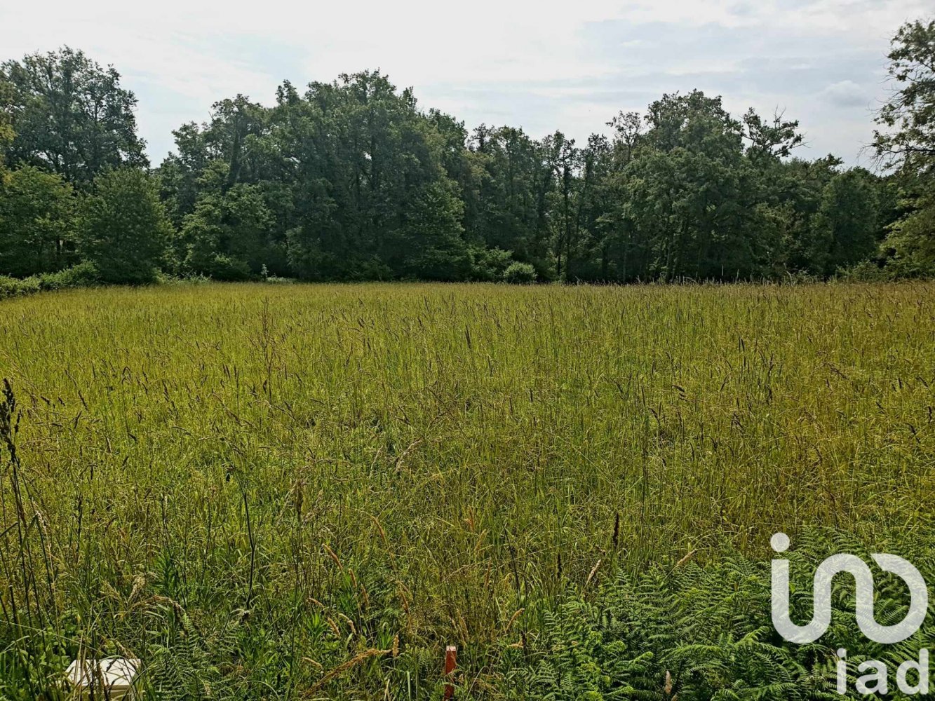 810m² Land in Saint-Junien, France No. 66982