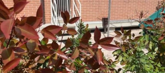 4 rooms Apartment in Imola, Italy No. 274024 5