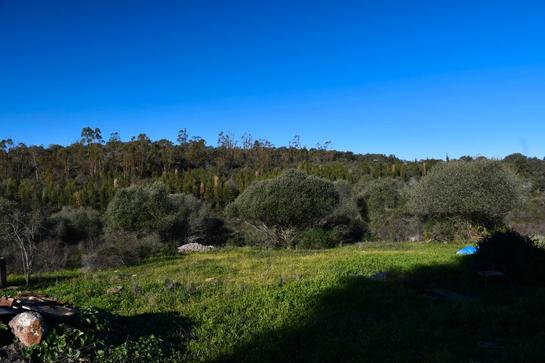  قطعة أرض في Huelva, Spain 99990متر مربع رقم 229382