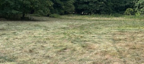 70-Zimmer Hotel in Lippe, Germany, Nr. 282512 5