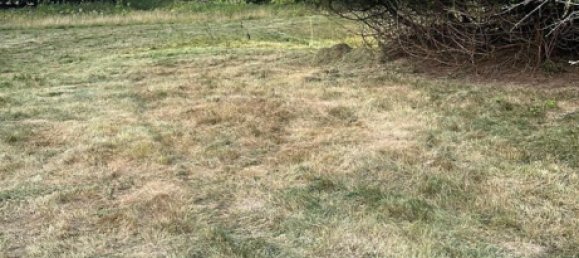 70-Zimmer Hotel in Lippe, Germany, Nr. 282512 4