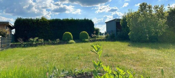 Таунхаус с 5 комнатами в Северо-Западный Мекленбург, Германия № 332397 27