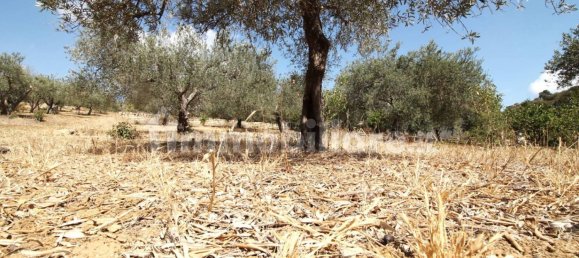 Casa T1 em Bagheria, Italy N.º 213159 18