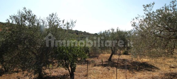 Casa T1 em Bagheria, Italy N.º 213159 20