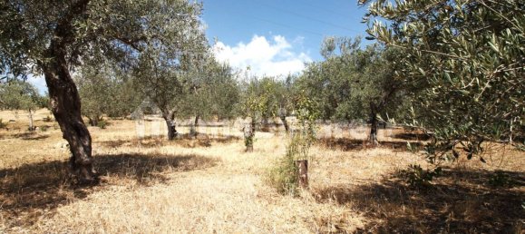 Casa T1 em Bagheria, Italy N.º 213159 19