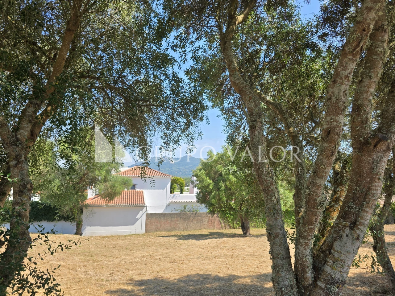 3 Schlafzimmer Haus in Sintra, Portugal, Nr. 233144