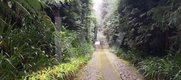 5 bedrooms House in Funchal, Portugal No. 65432 4