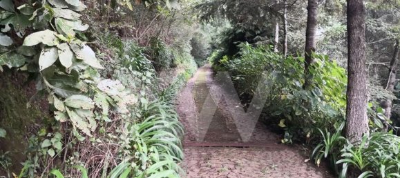 5 bedrooms House in Funchal, Portugal No. 65432 2