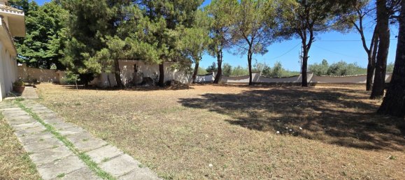 9 rooms Villa in Spoltore, Italy No. 267918 3