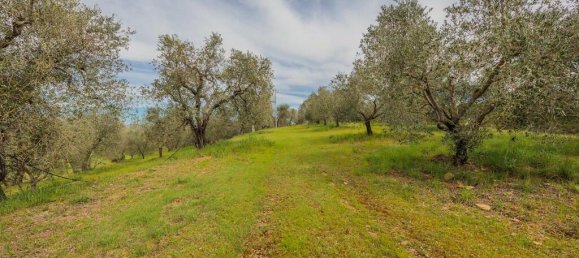 4 bedrooms House in Grosseto, Italy No. 19386 15