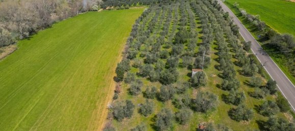 4 bedrooms House in Grosseto, Italy No. 19386 19