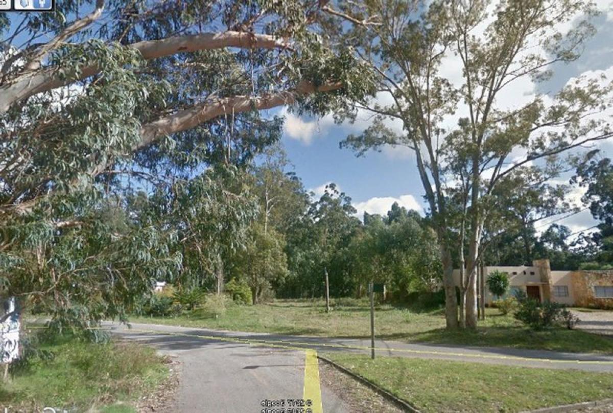 Terreno em Maldonado, Uruguay N.º 16206