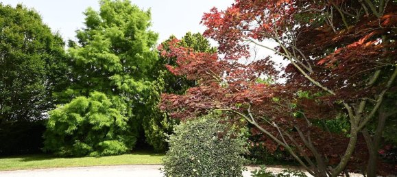 Вилла с 10 комнатами в Венеция, Италия № 54226 25