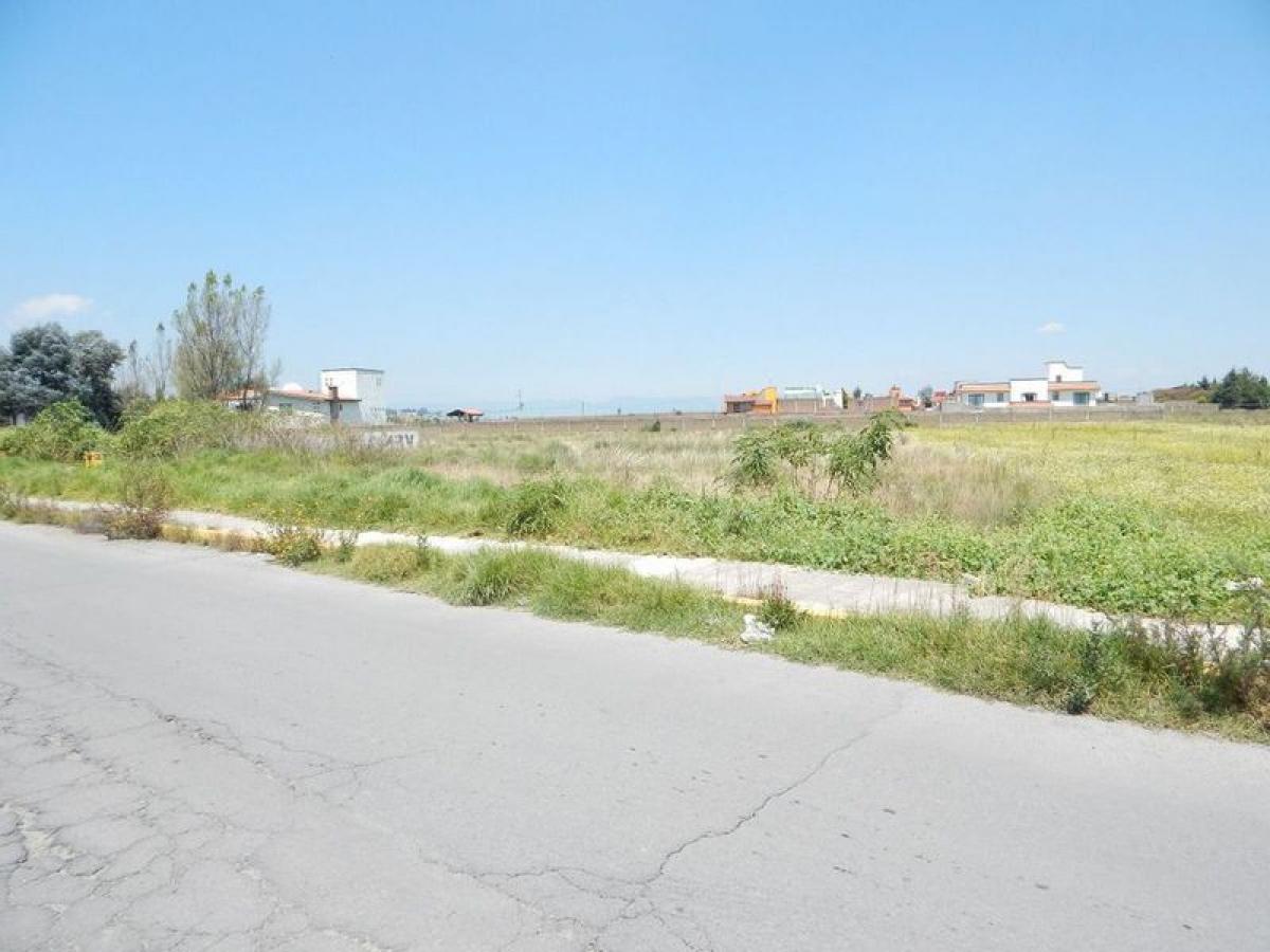  Land in Mexico No. 203485