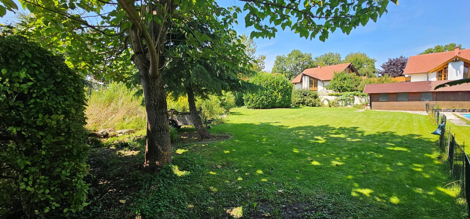  Land in Ansfelden, Austria No. 207759