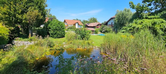  Land in Ansfelden, Austria No. 207759 3