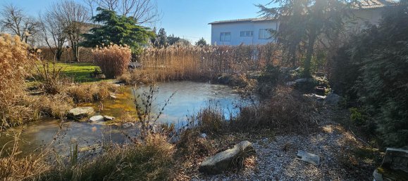  Land in Ansfelden, Austria No. 207759 7