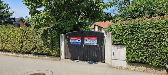  Land in Ansfelden, Austria No. 207759 4