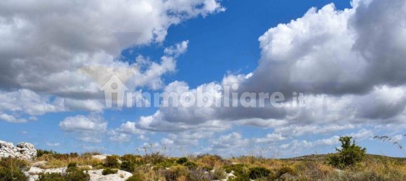 Terrain à Avola, Italy 35000m² No. 308209 40