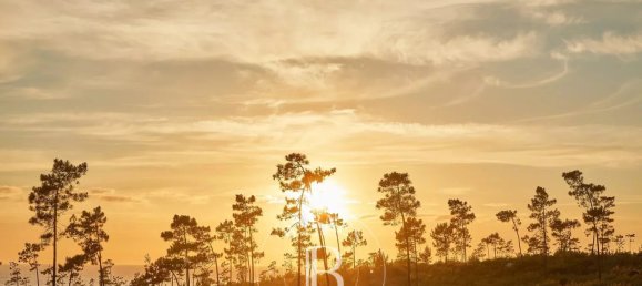 4 bedrooms House in Grandola, Portugal No. 141361 3