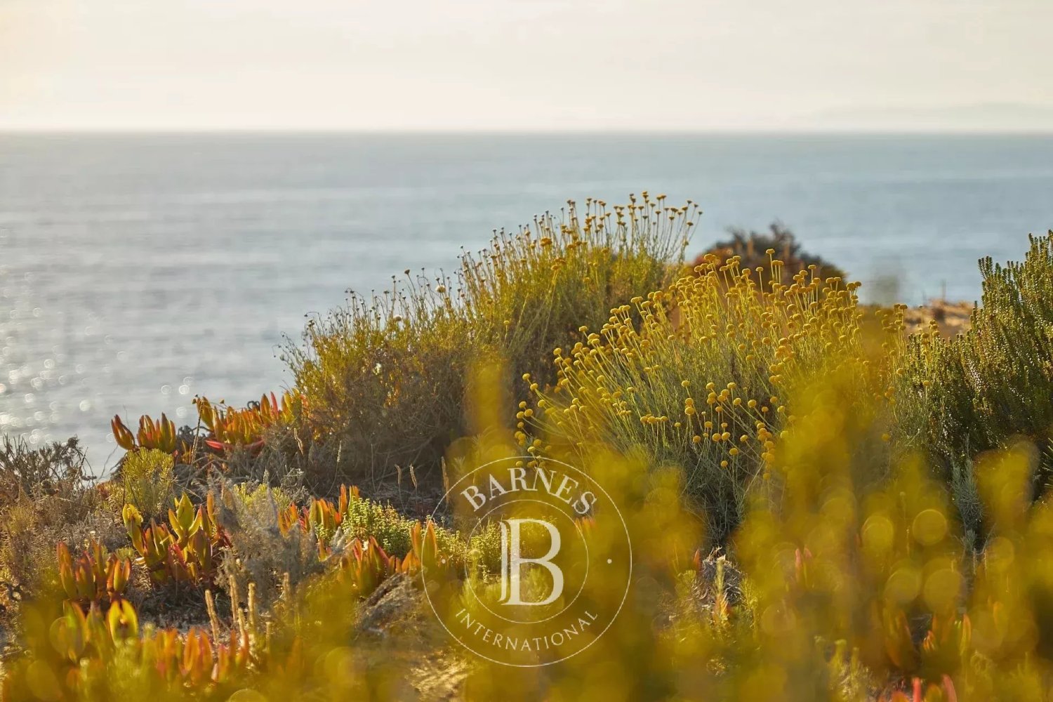 4 bedrooms House in Grandola, Portugal No. 141361