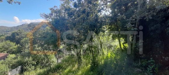 2 bedrooms House in Melgaco, Portugal No. 65564 10