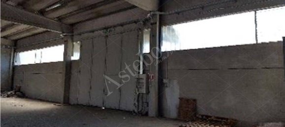 1 room Warehouse in Sant'Angelo Lodigiano, Italy No. 321543 8