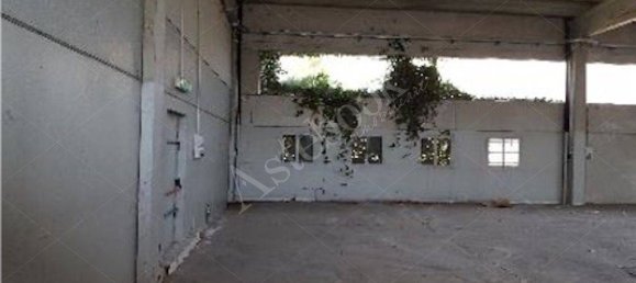 1 room Warehouse in Sant'Angelo Lodigiano, Italy No. 321543 6