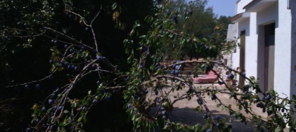 5 rooms House in Francavilla Fontana, Italy No. 251071 6