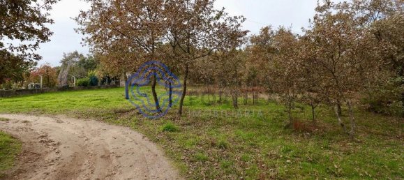 15000m² Land in Baiao, Portugal No. 37842 14