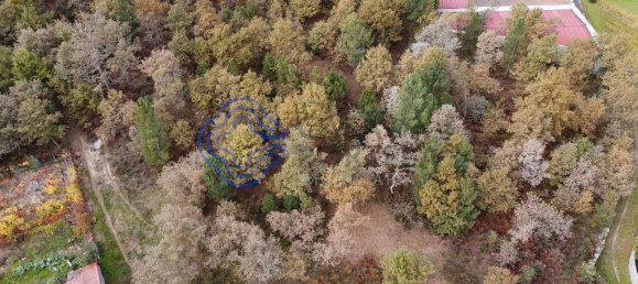 15000m² Land in Baiao, Portugal No. 37842 9