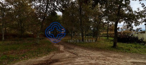 15000m² Land in Baiao, Portugal No. 37842 6